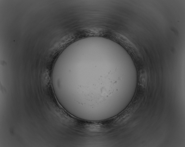 X0000090710318200708031438