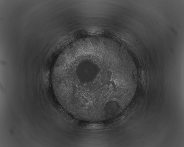 X0000090710319200708031438