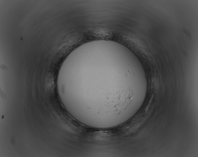 X0000090710320200708031438