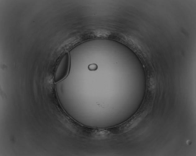 X0000090710321200708031438