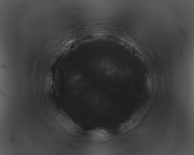 X0000090710322200708031438