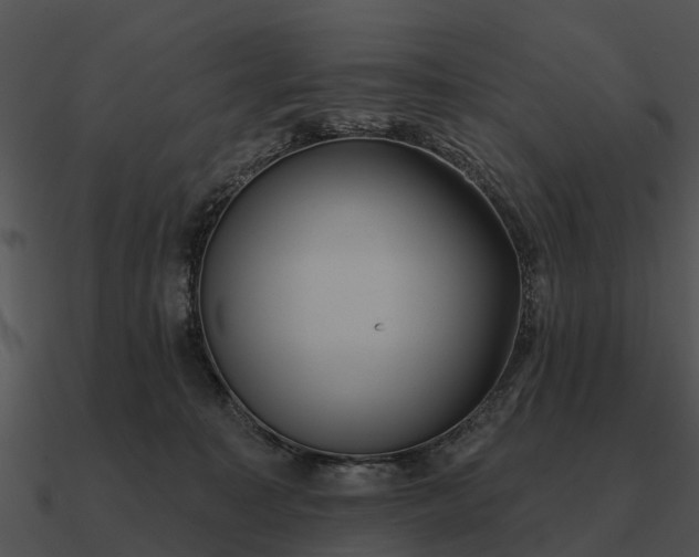 X0000090710323200708031438