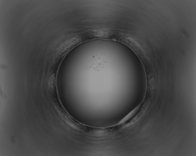 X0000090710325200708031438