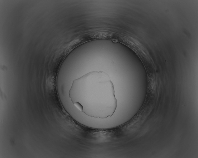 X0000090710326200708031438