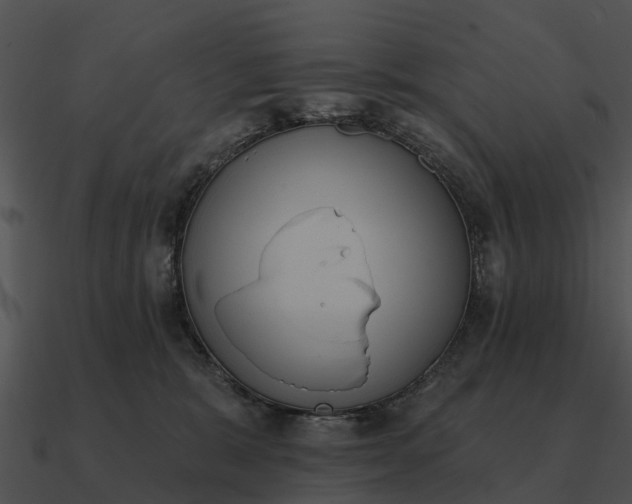 X0000090710327200708031438