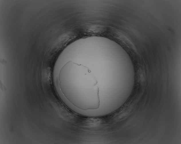 X0000090710328200708031438