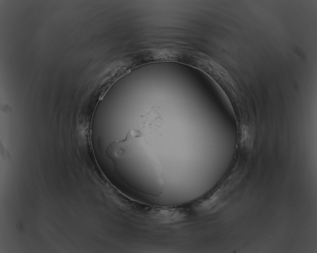 X0000090710329200708031438