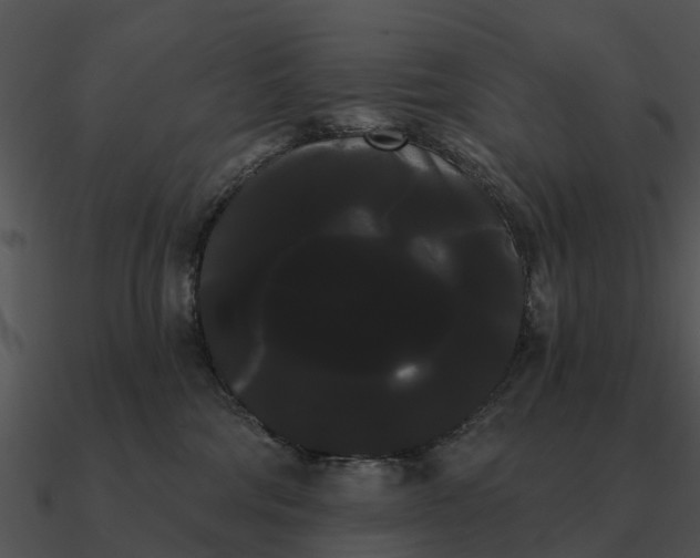 X0000090710330200708031438