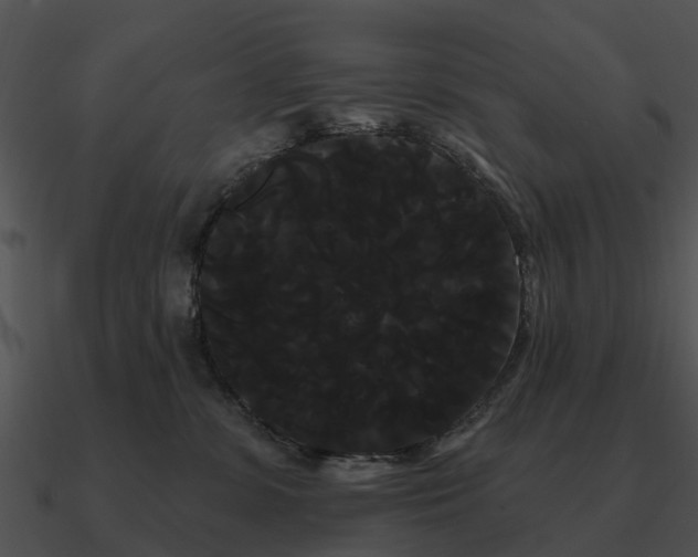 X0000090710331200708031438