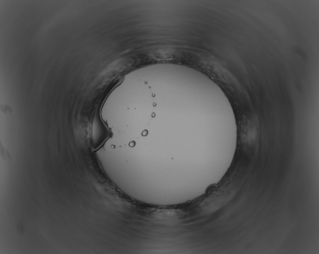 X0000090710332200708031438