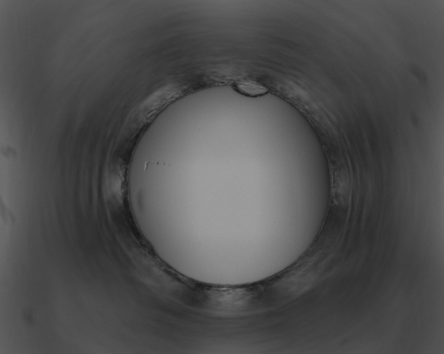 X0000090710334200708031438