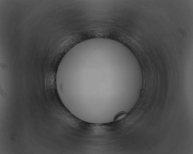 X0000090710336200708031438