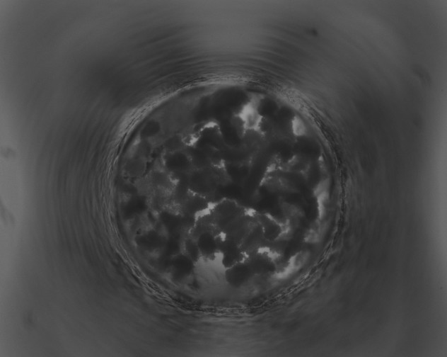 X0000090710337200708031437