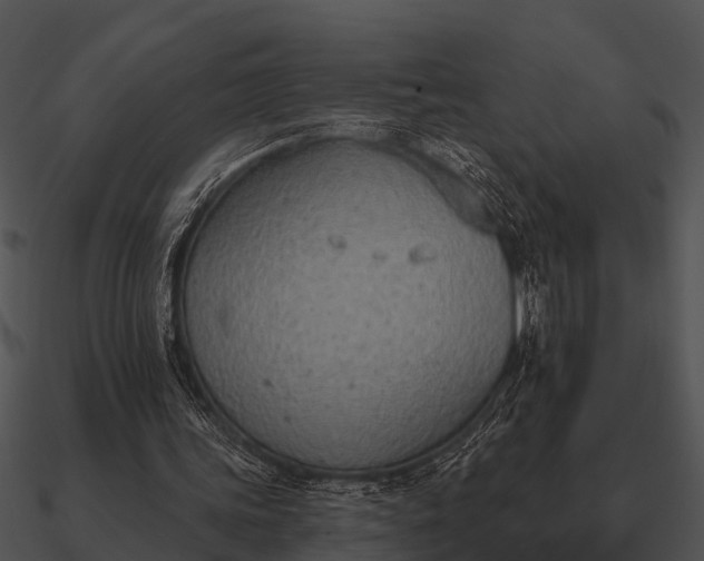 X0000090710339200708031438