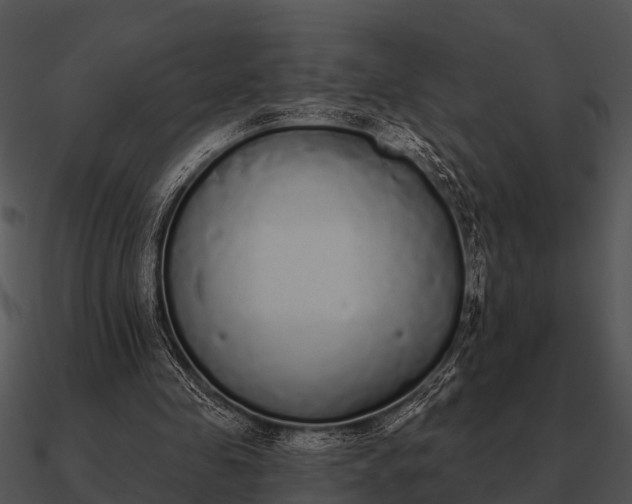 X0000090710341200708031438