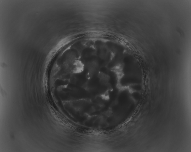 X0000090710343200708031438