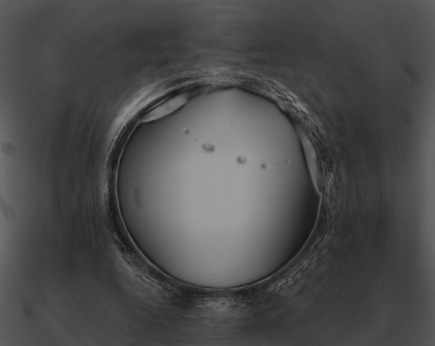 X0000090710344200708031438