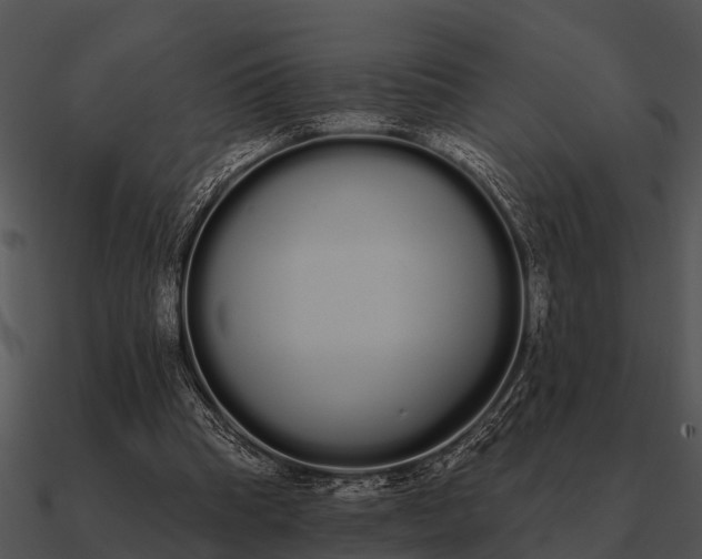 X0000090710345200708031438