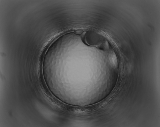 X0000090710346200708031438