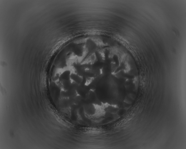 X0000090710347200708031438