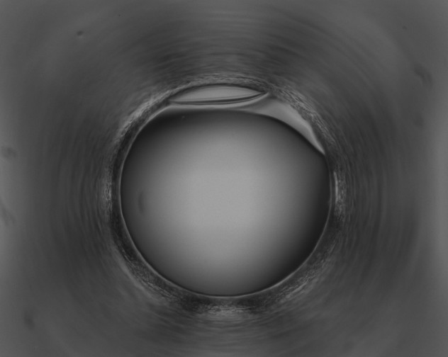 X0000090710348200708031438