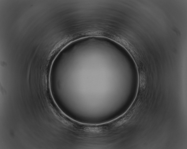 X0000090710349200708031438