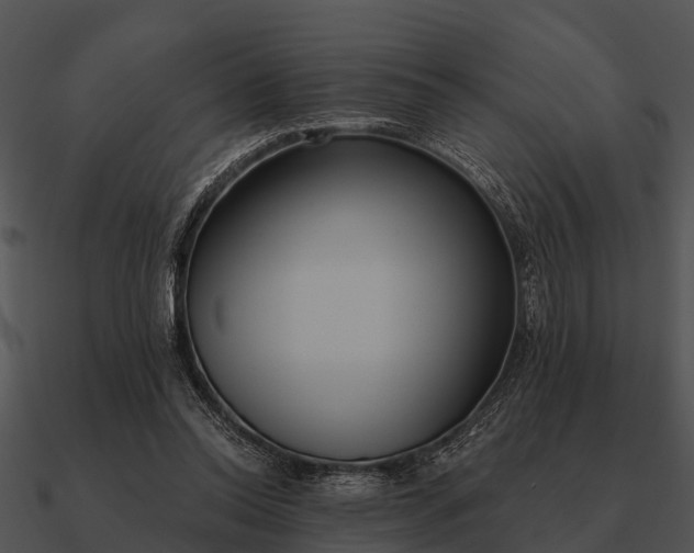 X0000090710350200708031438