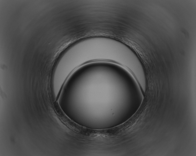 X0000090710352200708031438