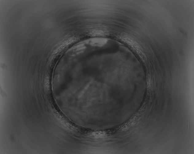 X0000090710353200708031438