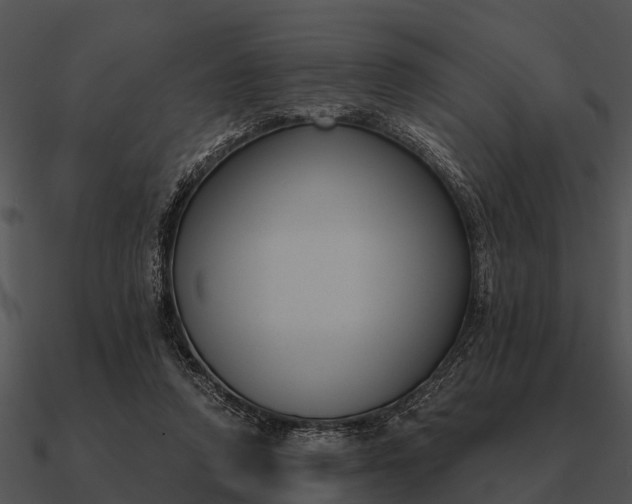 X0000090710354200708031438