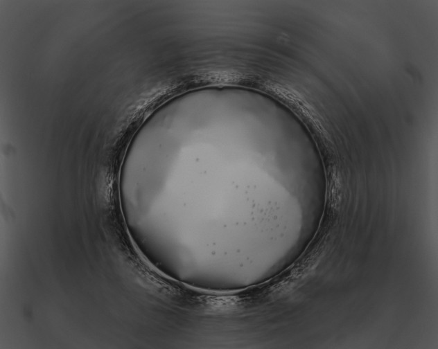 X0000090710355200708031438