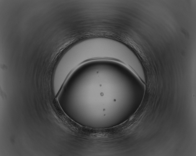 X0000090710356200708031438