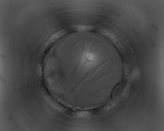 X0000090710357200708031438