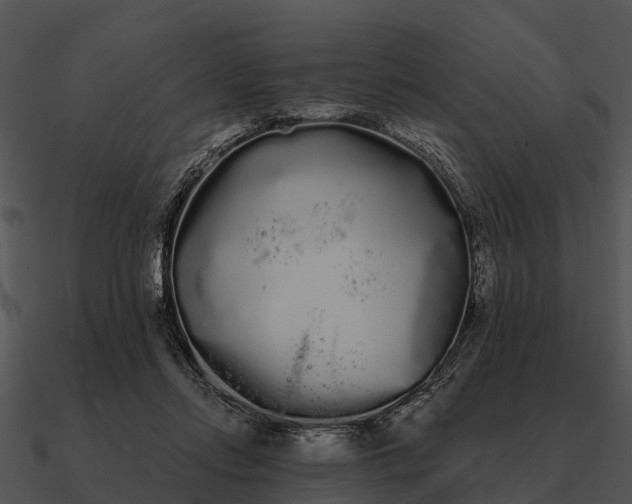 X0000090710358200708031438