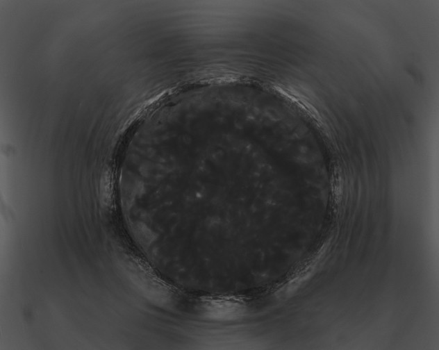 X0000090710359200708031438