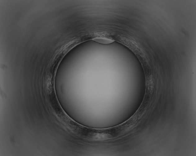 X0000090710360200708031438