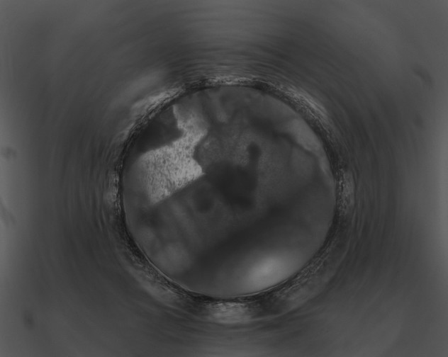 X0000090710361200708031438