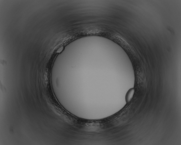 X0000090710362200708031438