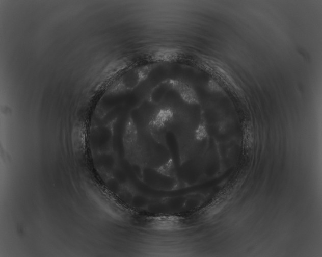 X0000090710363200708031438