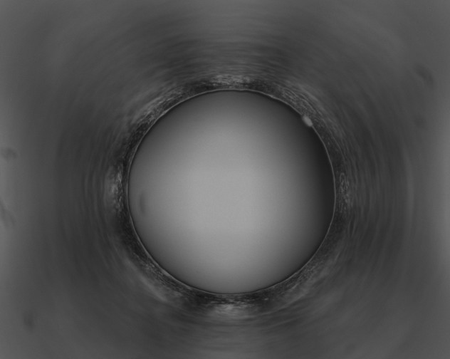 X0000090710364200708031438