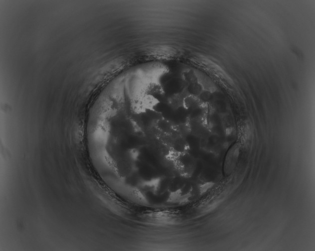 X0000090710365200708031438