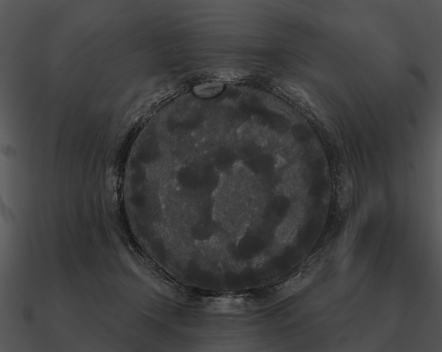 X0000090710366200708031438