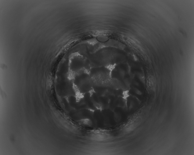 X0000090710367200708031438