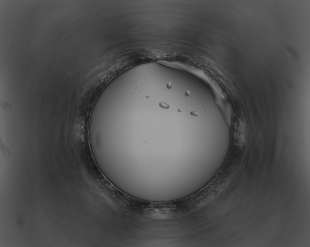 X0000090710368200708031438