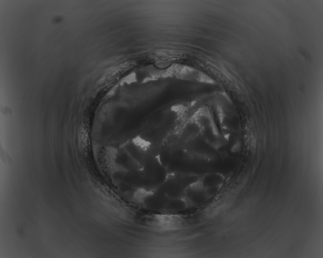 X0000090710371200708031438