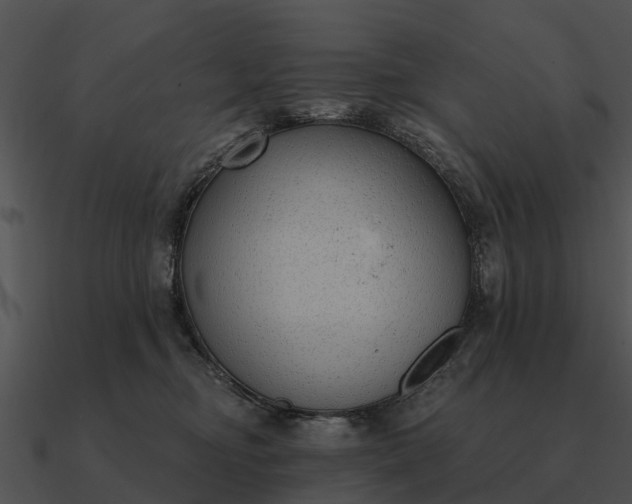 X0000090710374200708031438