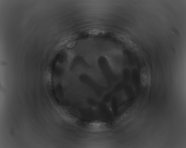 X0000090710375200708031438