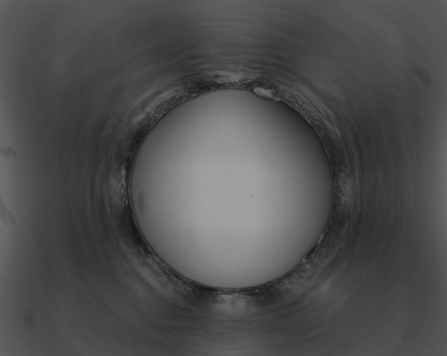 X0000090710376200708031438