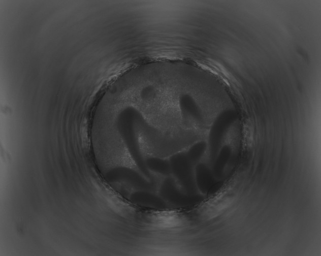 X0000090710377200708031438