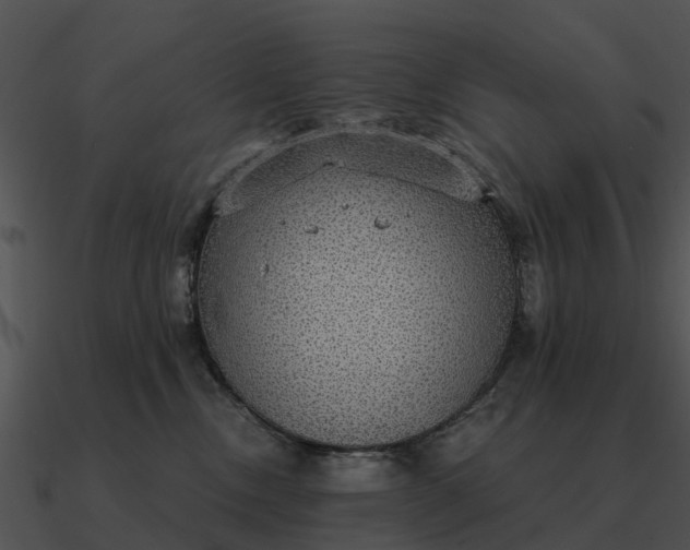 X0000090710378200708031438